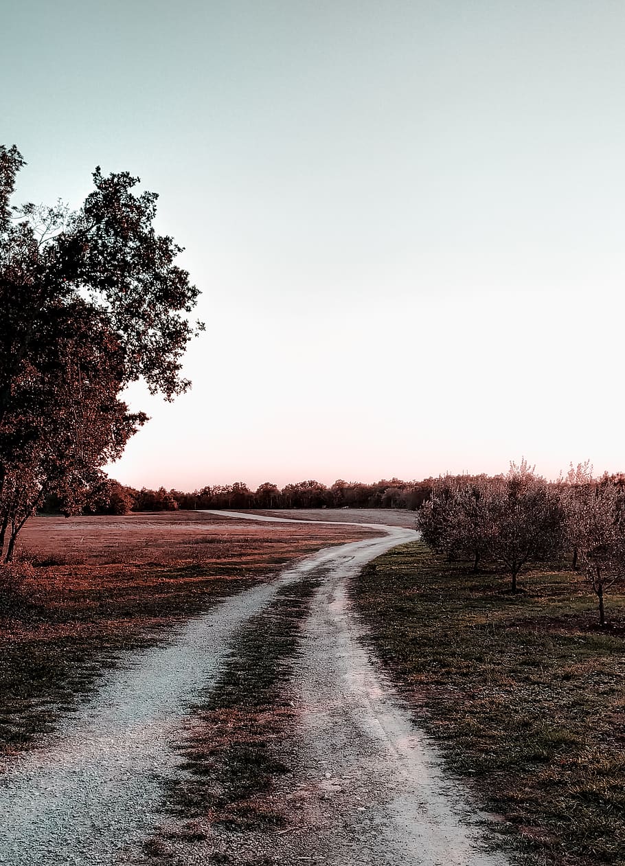 trees, path, sky, nature, fall, winter, grass, dirt, view, croatia HD wallpaper