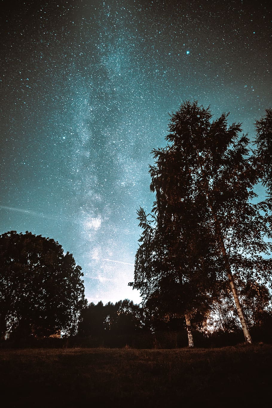 silhouette of trees and milky way, sky, star, long exposure, astrophotography HD wallpaper