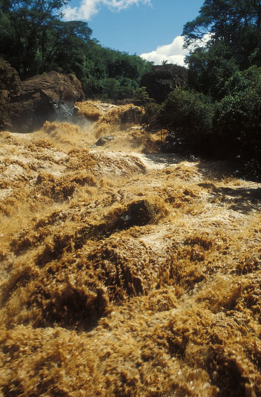 kenya, flooding, river, raging water, nature, tree, beauty in nature HD wallpaper