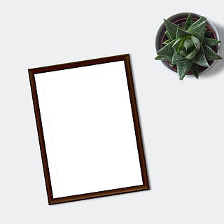 frame, mockup, flatlay, plant, ecommerce, blank, paper, marketing HD wallpaper
