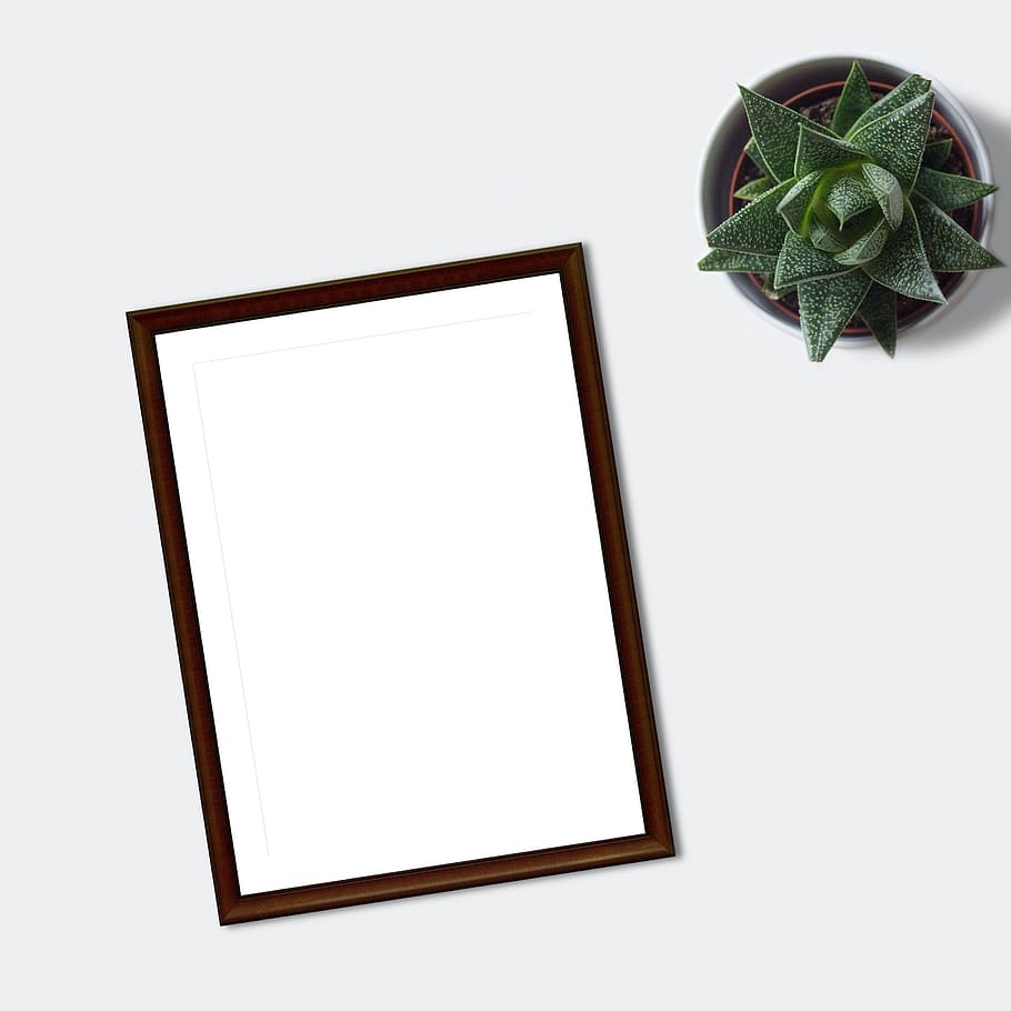 frame, mockup, flatlay, plant, ecommerce, blank, paper, marketing HD wallpaper