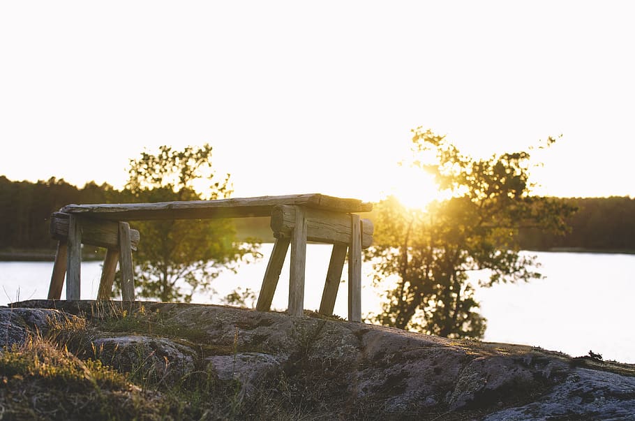 finland, vibes, summer vibes, sumner, feeling, gold, landscape HD wallpaper