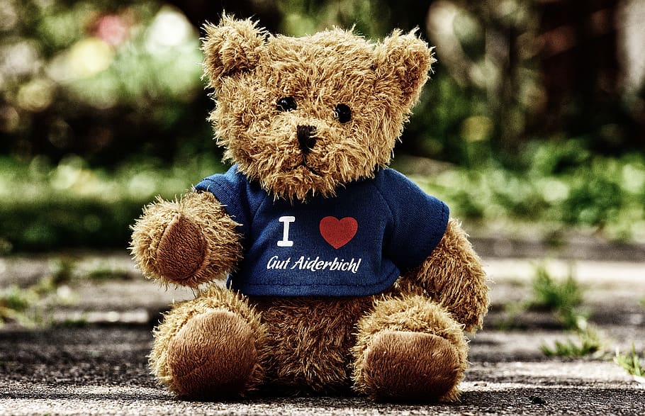 teddy, good aiderbichl, sanctuary, animals, bear, funny, t shirt HD wallpaper