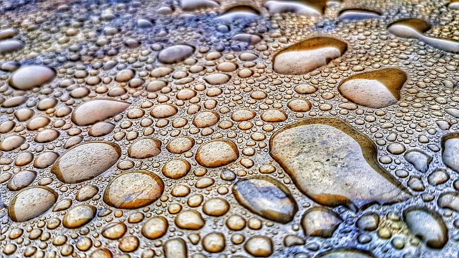 water dew on brown surface, pebble, south africa, outdoors, macro HD wallpaper