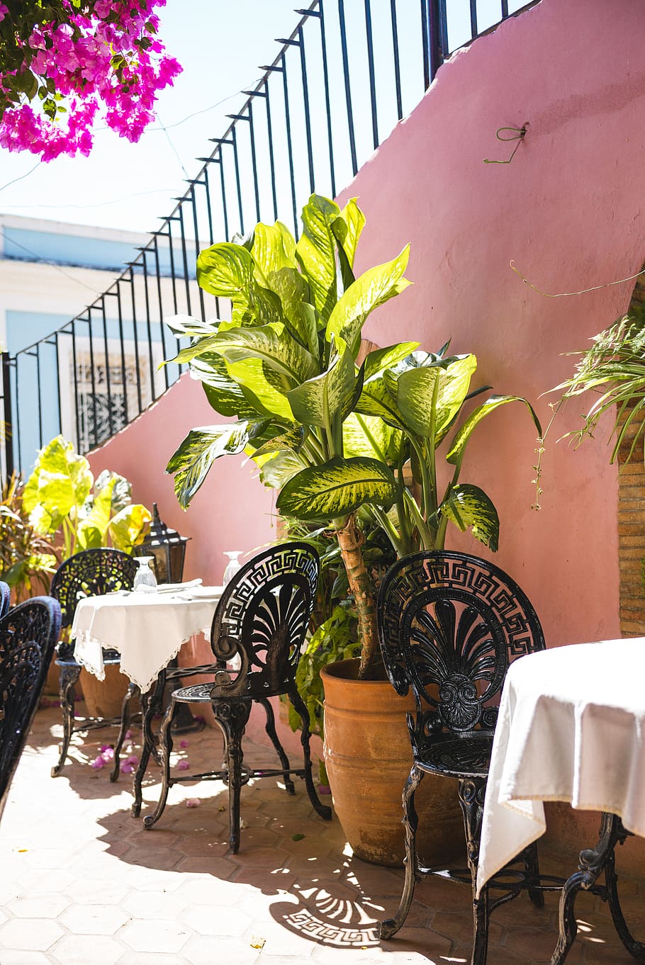 cuba, trinidad, table, plant, drink, eat, romantic, dinner