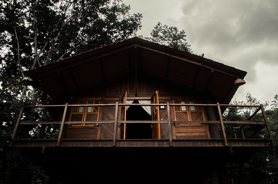 Brown Cabin, architecture, building, perspective, wood, wooden HD wallpaper