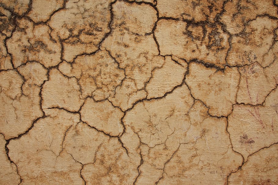 india, agra, cracks, wall, brown, texture, cracked, backgrounds HD wallpaper