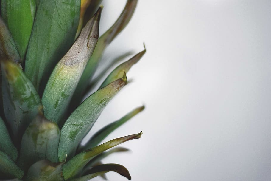 pineapple, fruit, texture, green, food, kitchen, fruits, ananas HD wallpaper