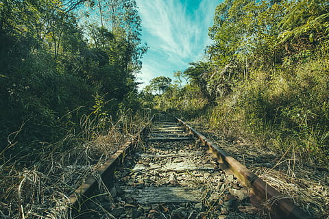 Train Railway Surrounded With Trees, daylight, environment, forest HD wallpaper