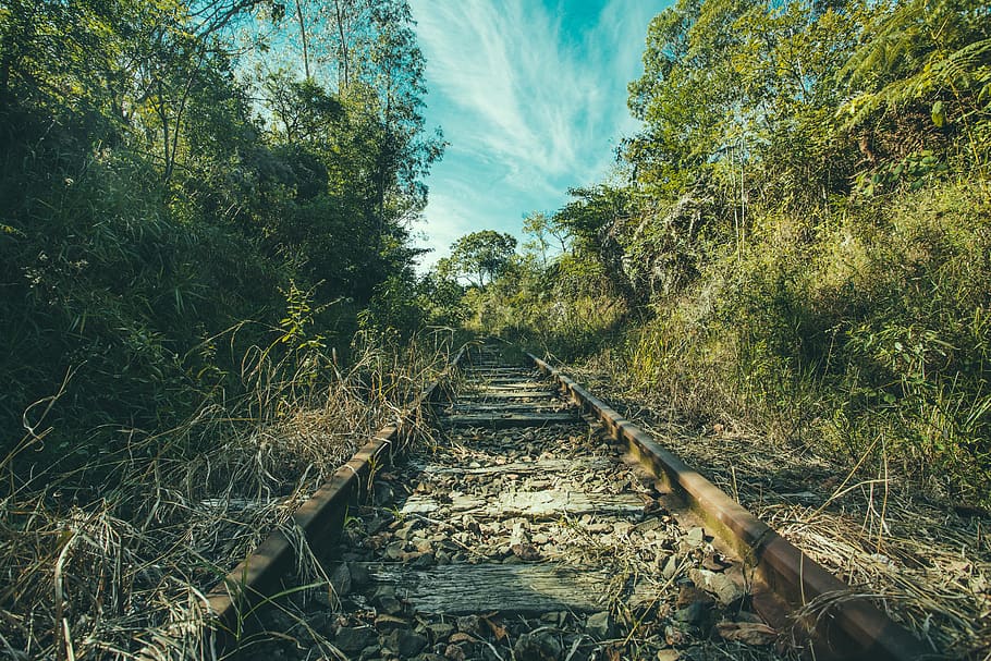 Train Railway Surrounded With Trees, daylight, environment, forest, HD wallpaper