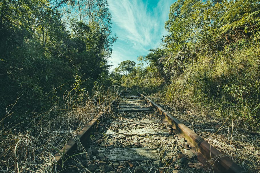 Train Railway Surrounded With Trees, daylight, environment, forest HD wallpaper
