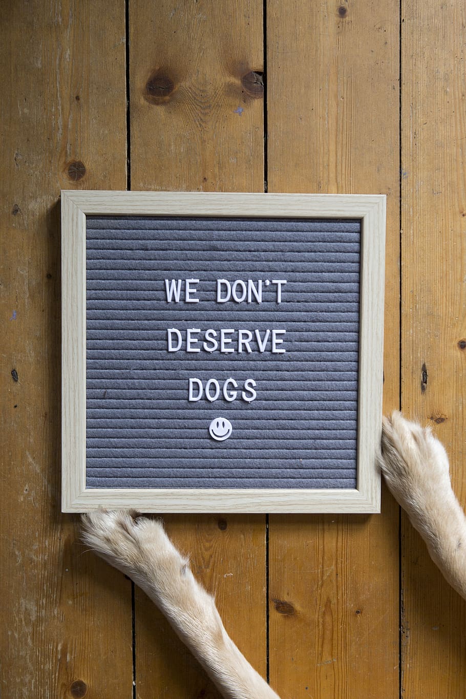 quoted wall decor, text, western script, wood - material, communication HD wallpaper