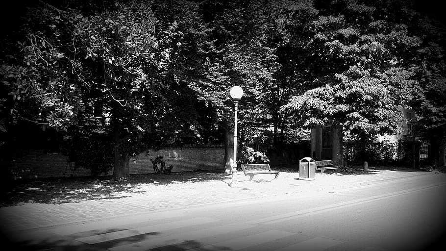 italy, bench, lamp, bin, trees, road, secluded, quiet, leaves HD wallpaper