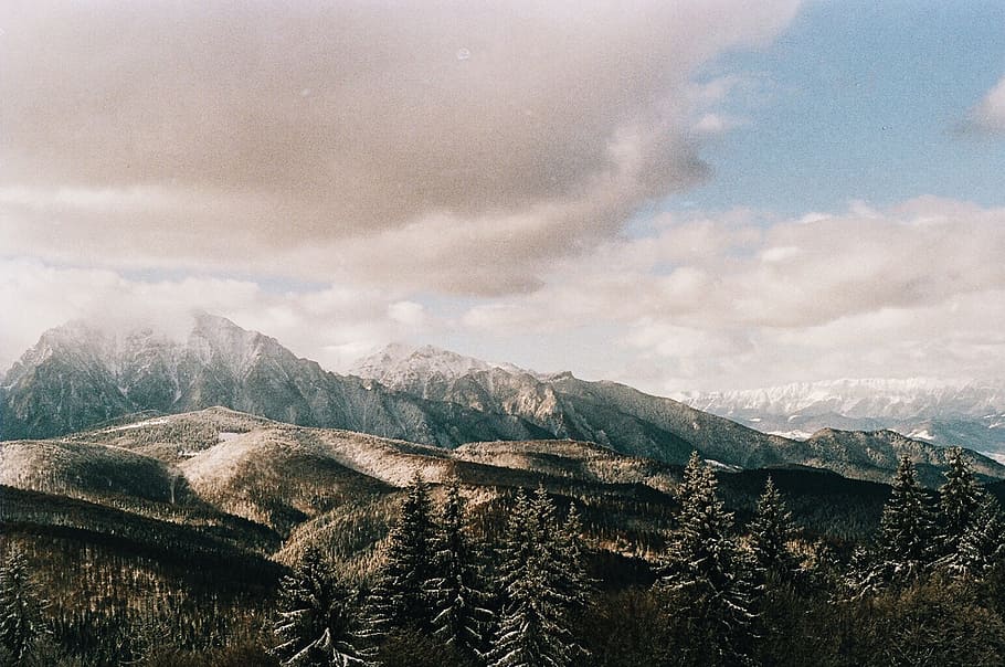 mountains and trees, cloud, forst, hill, snow, peak, nature, carpathian HD wallpaper