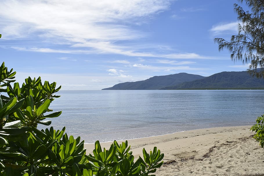 australia, cairns, trees, blue sky, clouds, calm, relax, relaxing HD wallpaper