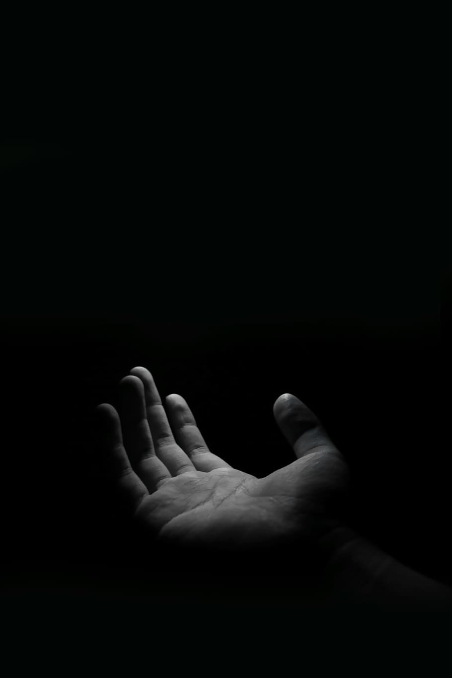person, human, finger, hand, black and white, grayscale, hands, HD wallpaper