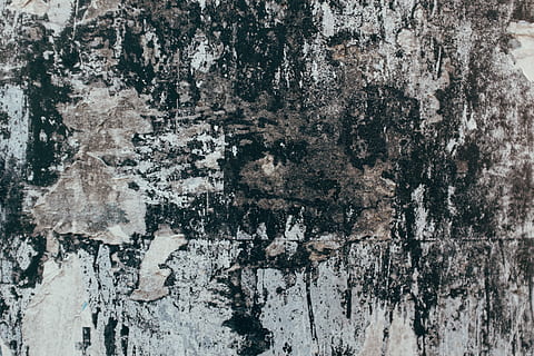 gray and white concrete wall, rock, belgium, rug, art, texture HD wallpaper