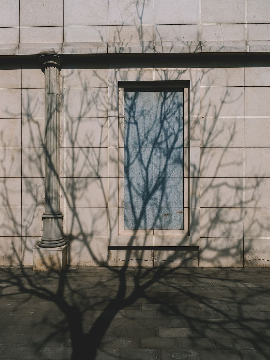 china, beijing, tree, door, blue, ground, wall, shadow, yuanmingyuan HD wallpaper