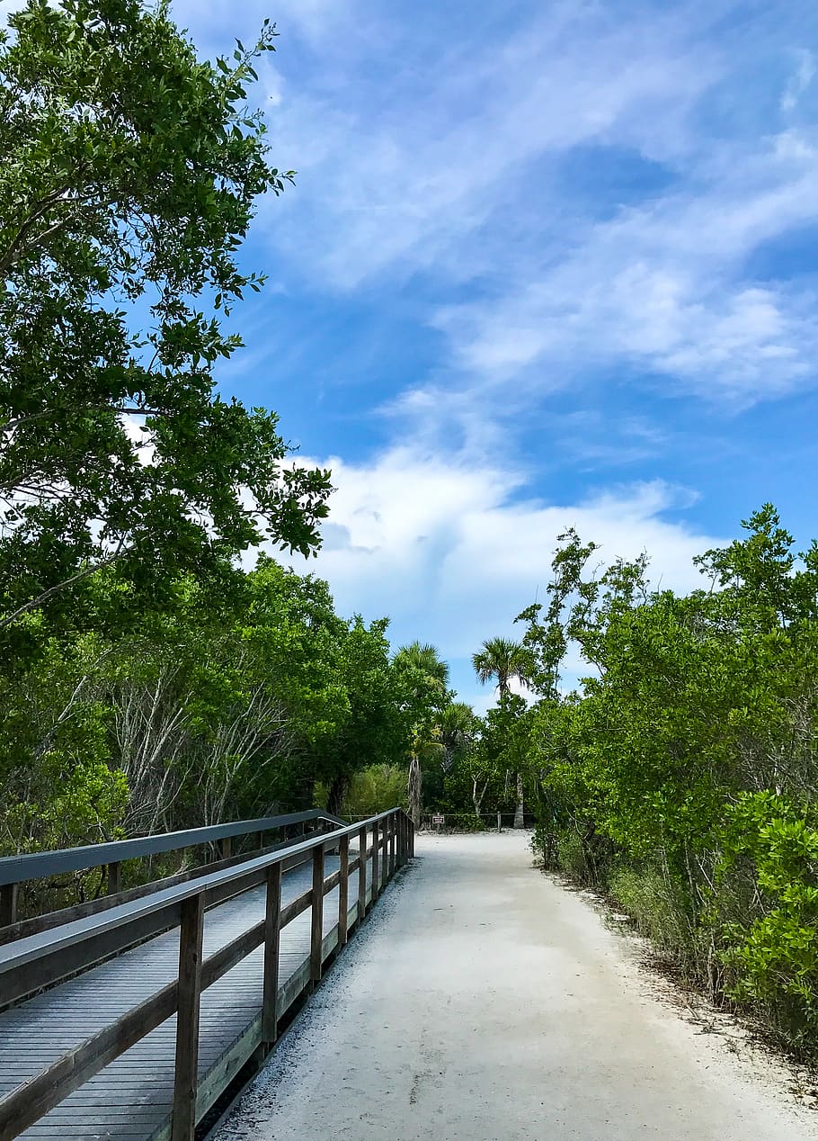 railing, building, bridge, boardwalk, path, unnamed road, sanibel HD wallpaper