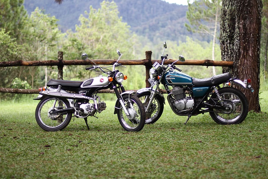 indonesia, forest, tree, motorcycle, honda, transportation HD wallpaper