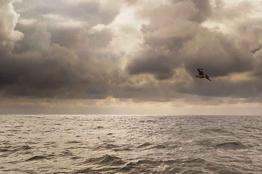 weather, storm, stormy, cloudy, nature, sea, ocean, blue, water HD wallpaper