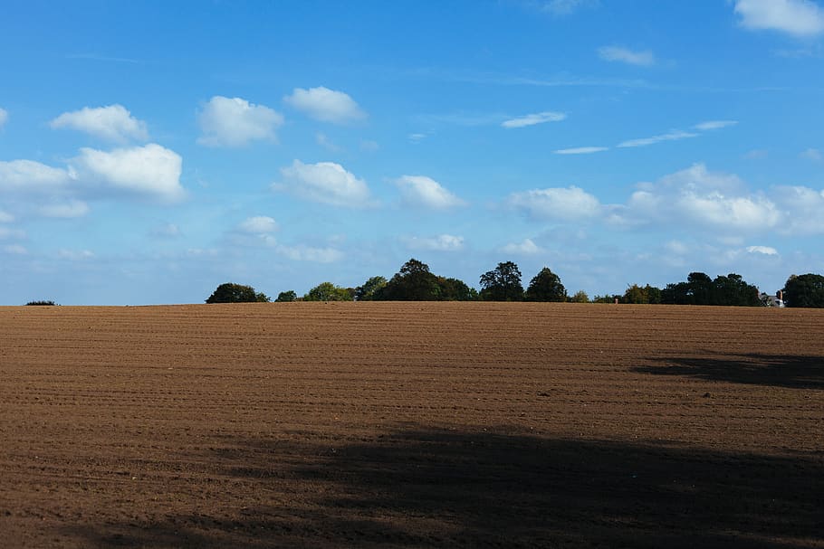 Sand Dunes, field, soil, sky, environment, landscape, tranquil scene HD wallpaper