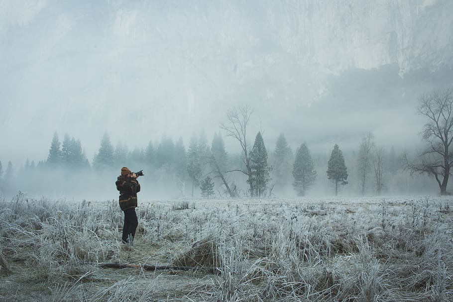 person wearing jacket, fog, one person, plant, real people, lifestyles HD wallpaper