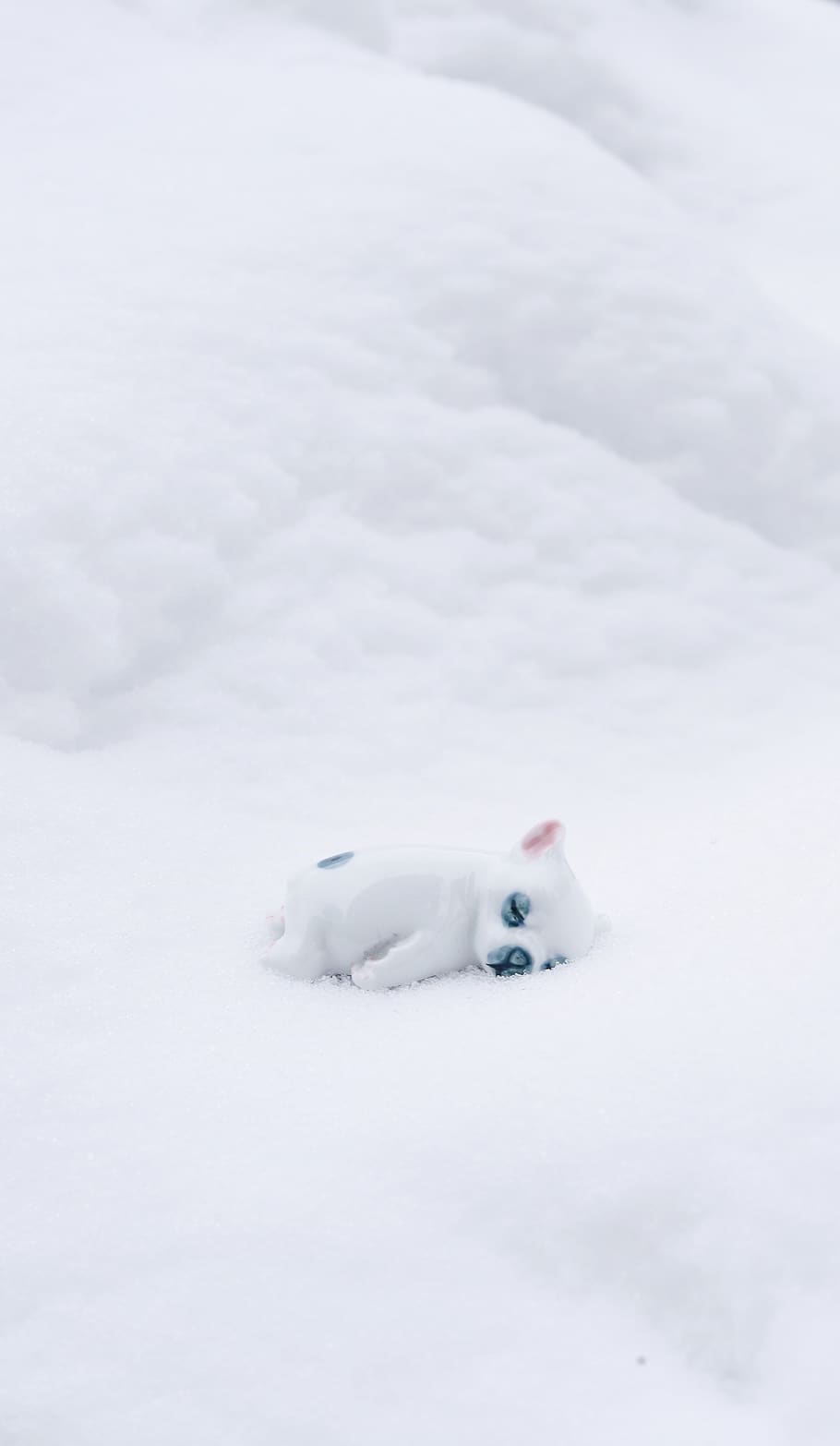 icy surface, snow, winter, cold temperature, white color, animal HD wallpaper