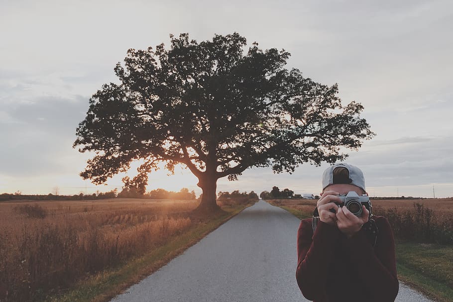 man taking photos using gray DSLR camera, tree, real people, plant HD wallpaper