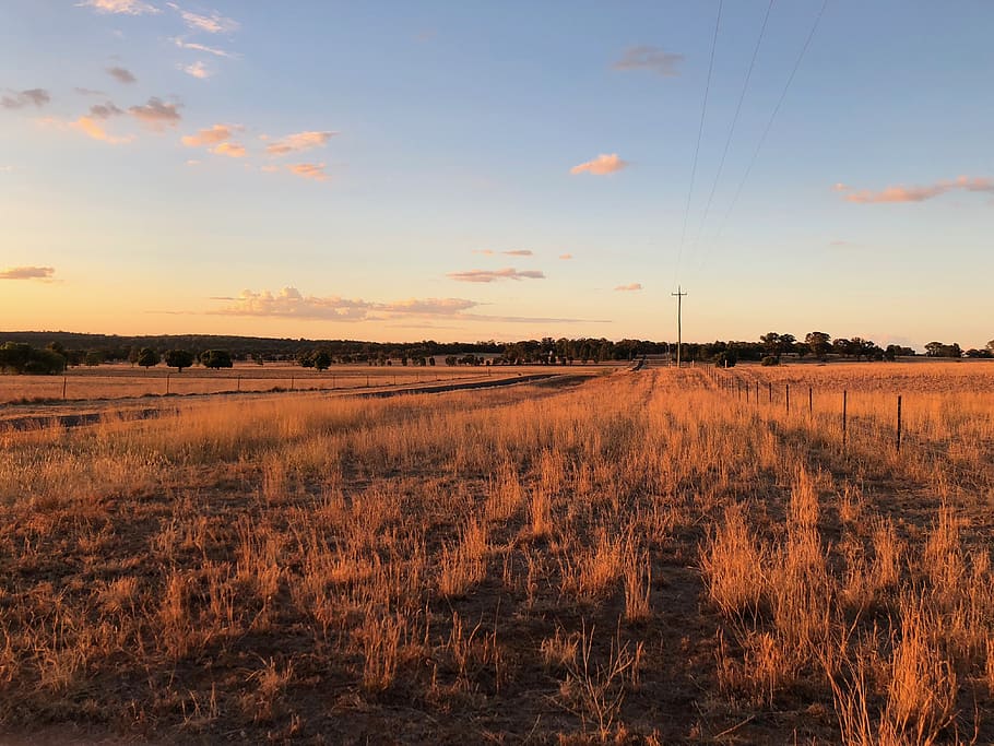 australia, road, grass, sky, field, landscape, tranquil scene HD wallpaper