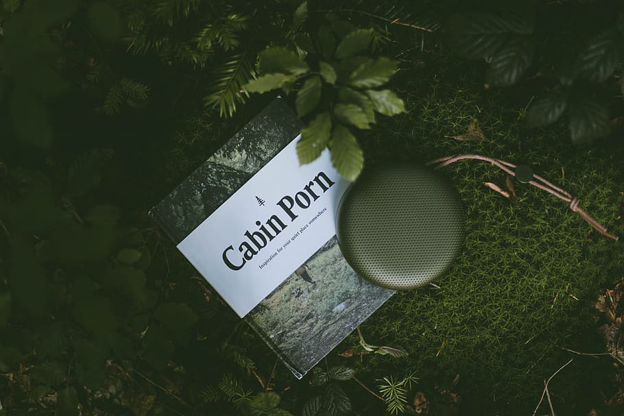 green, leaf, grass, plant, nature, book, outdoor, western script HD wallpaper