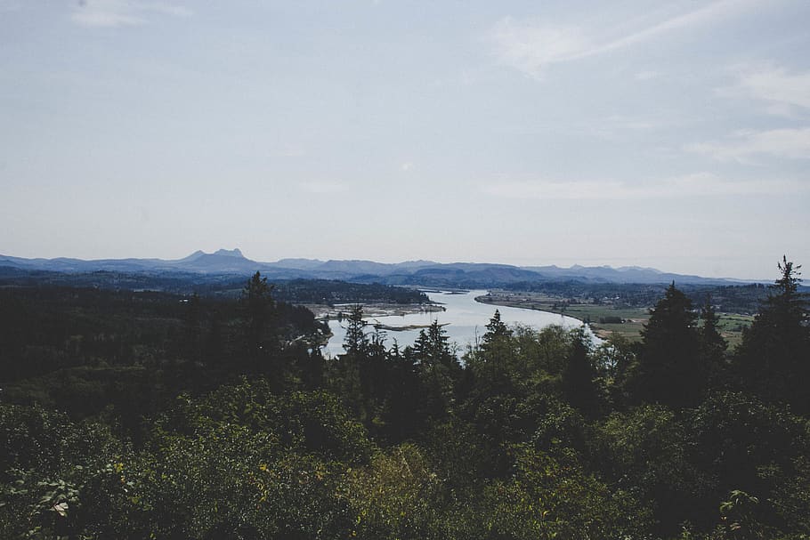 trees, ocean, lake, river, forest, oregon, mountain, landscape HD wallpaper