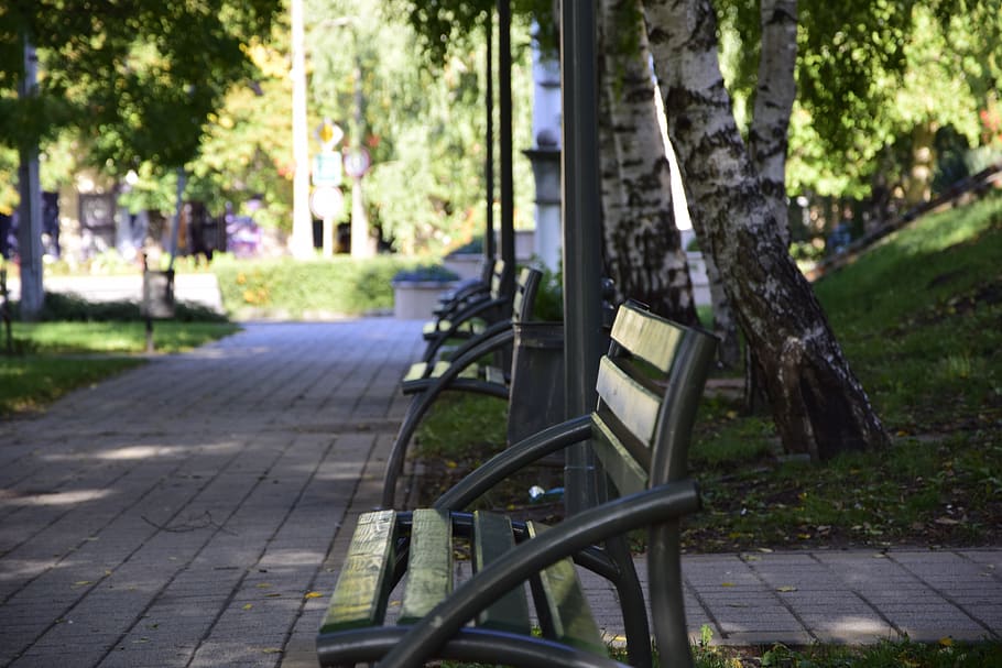 pad, green, spring, nature, seating, wood, rest, park, grass HD wallpaper