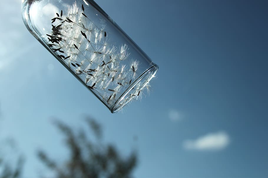 nederland, lemmer, float, dom, blue, sky, low angle view, nature HD wallpaper