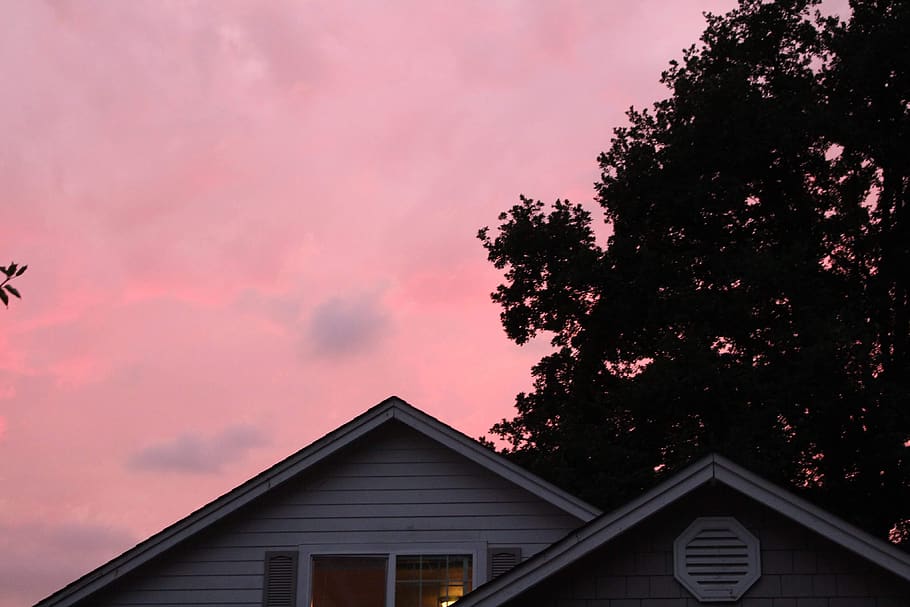 sunset, trees, shiloette, roof, pink, architecture, built structure HD wallpaper