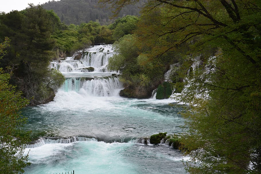 waterfall, landscape, nature, beauty in nature, plant, tree HD wallpaper