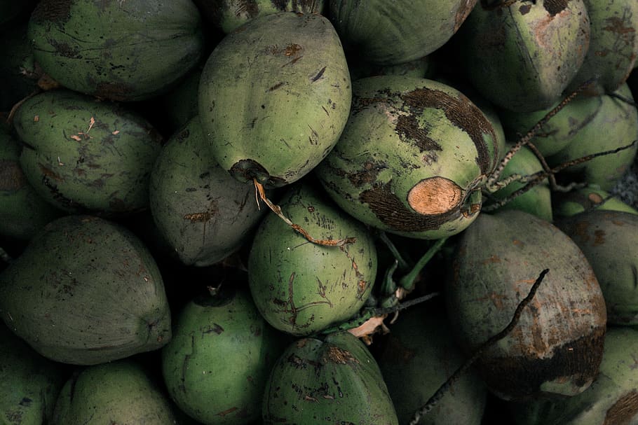 pile of coconuts, food and drink, healthy eating, wellbeing, fruit HD wallpaper