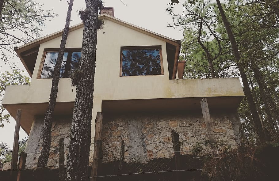 tree, plant, tree trunk, cabin, building, housing, forest, cities within HD wallpaper