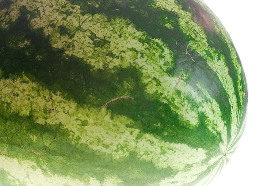 watermelon, isolated, white, dietfood, healthyfood, eat, vitamin HD wallpaper