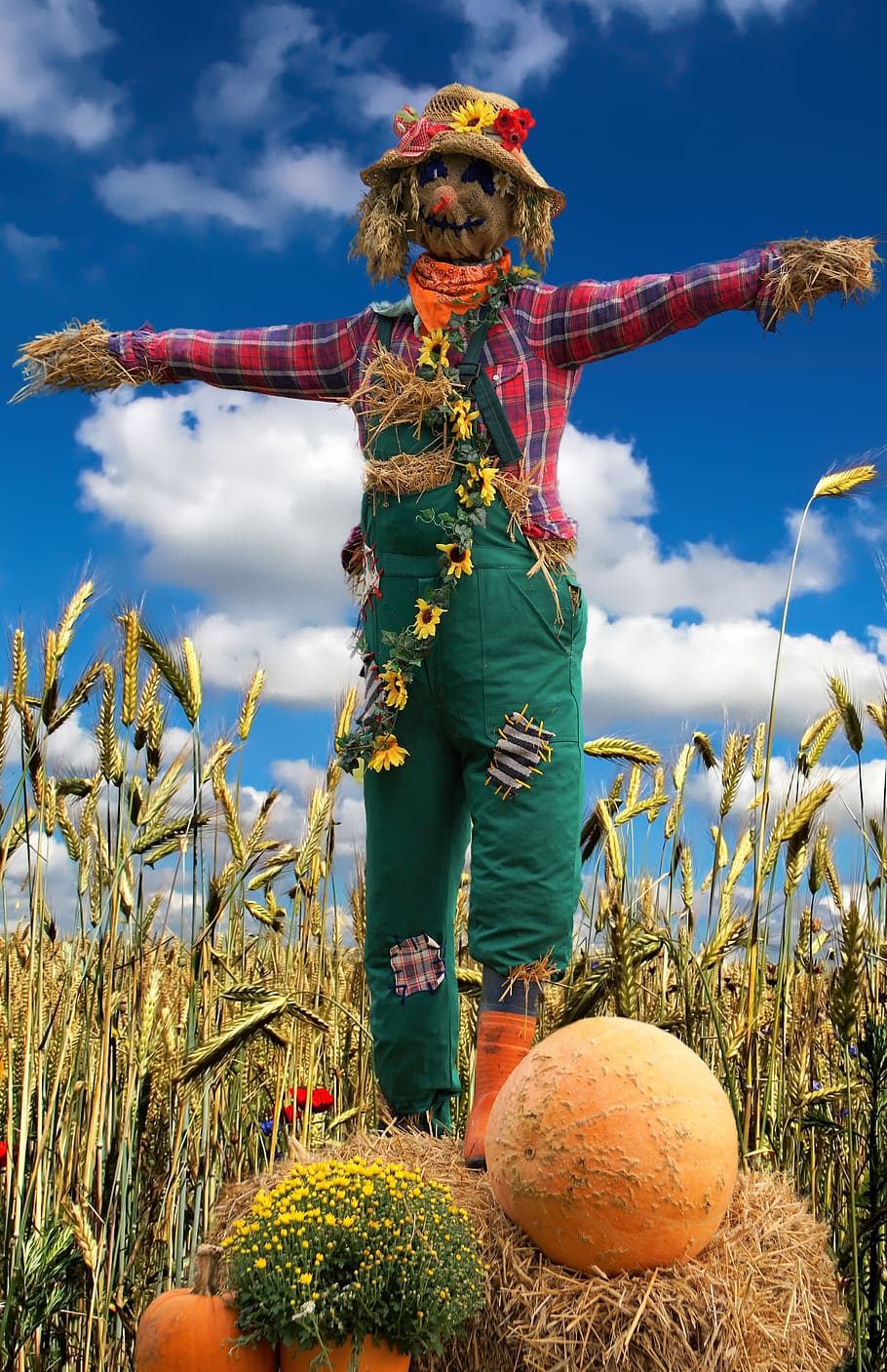 scarecrow, grain, field, straw, agriculture, cereals, harvest HD wallpaper