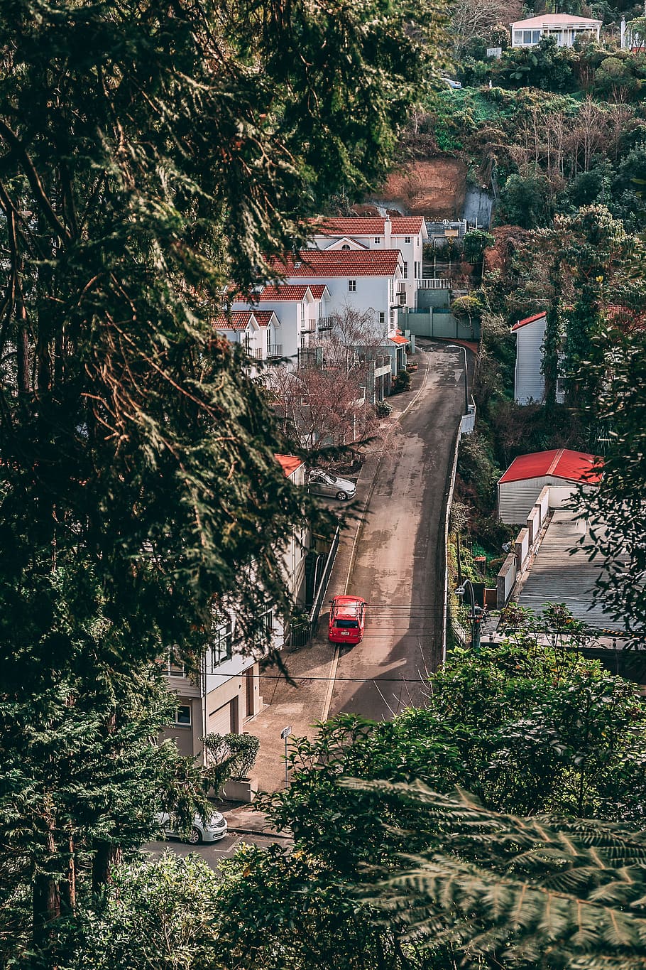red car travelling on road between house and trees, street, building, HD wallpaper