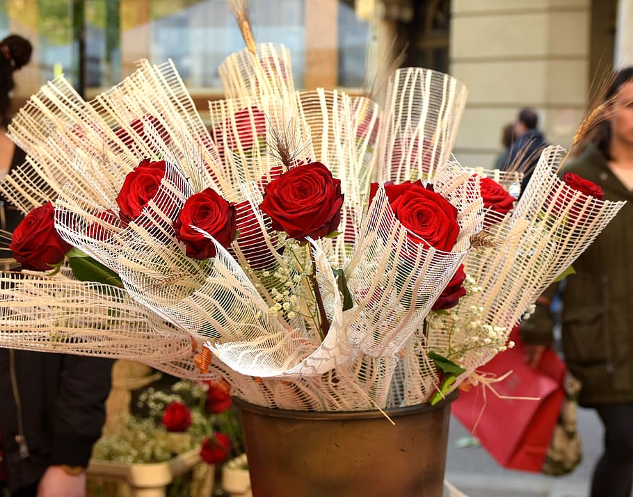 sant jordi, barcelona, roses, tradition, red, catalonia, arrangement