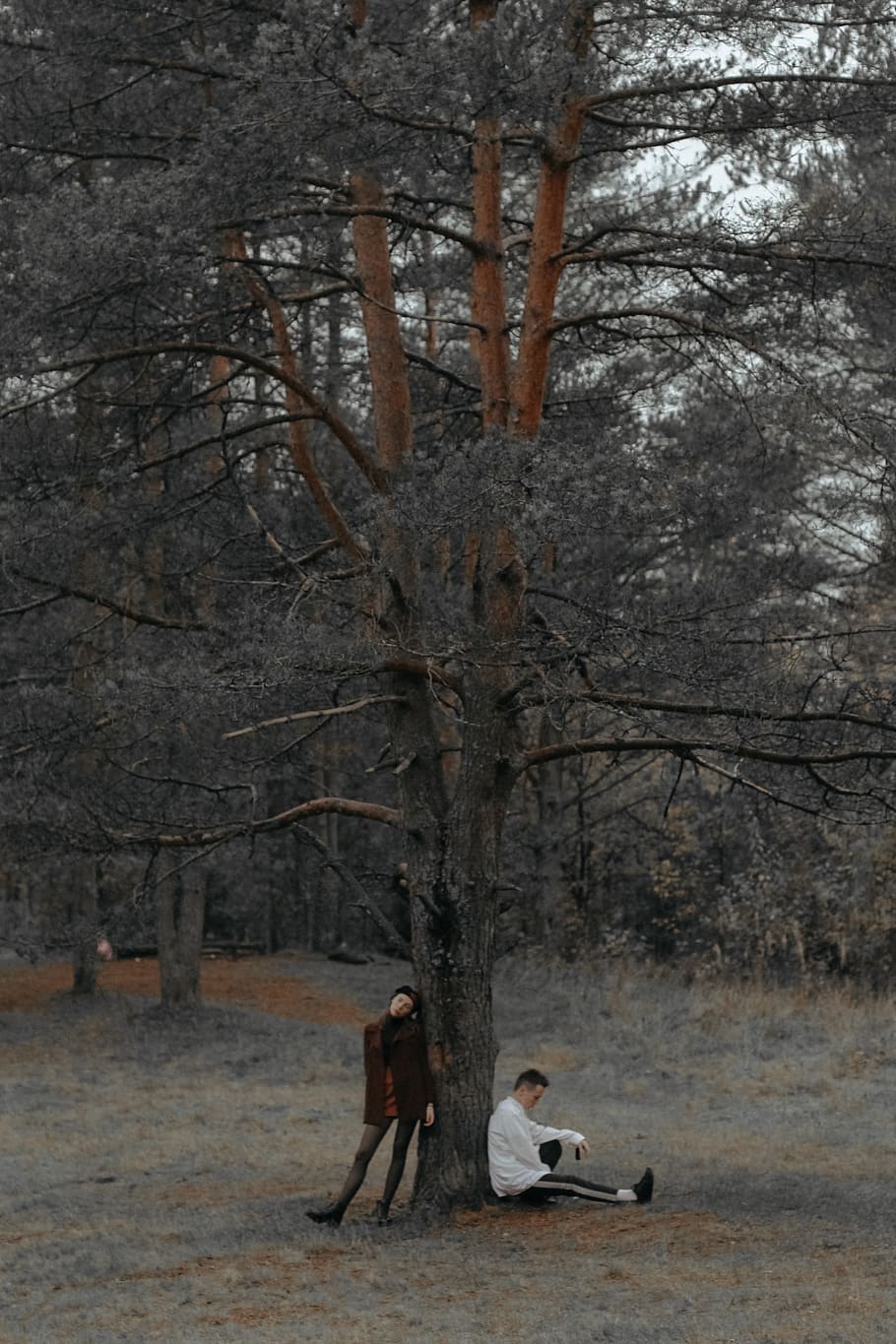 Two People Leaning on Tree, branches, couple, daylight, environment HD wallpaper