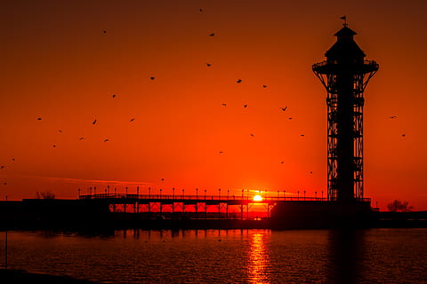 sunset, landmark, birds, animals, nature, sunsets, vibrance HD wallpaper