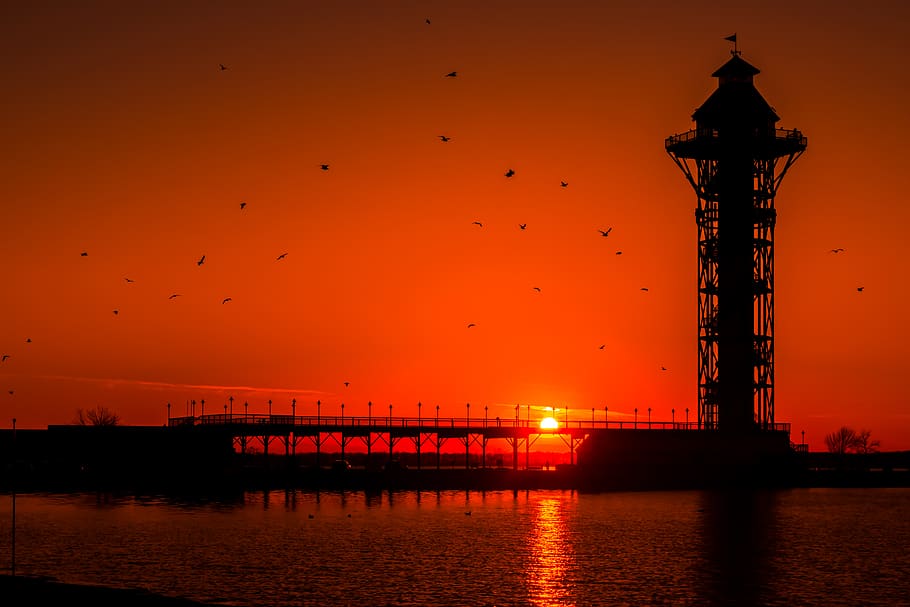 sunset, landmark, birds, animals, nature, sunsets, vibrance HD wallpaper