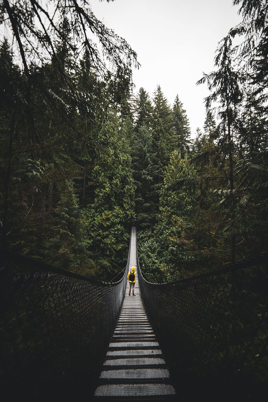 bridge, rope bridge, tree, forest, yellow jacket, person, standing HD wallpaper
