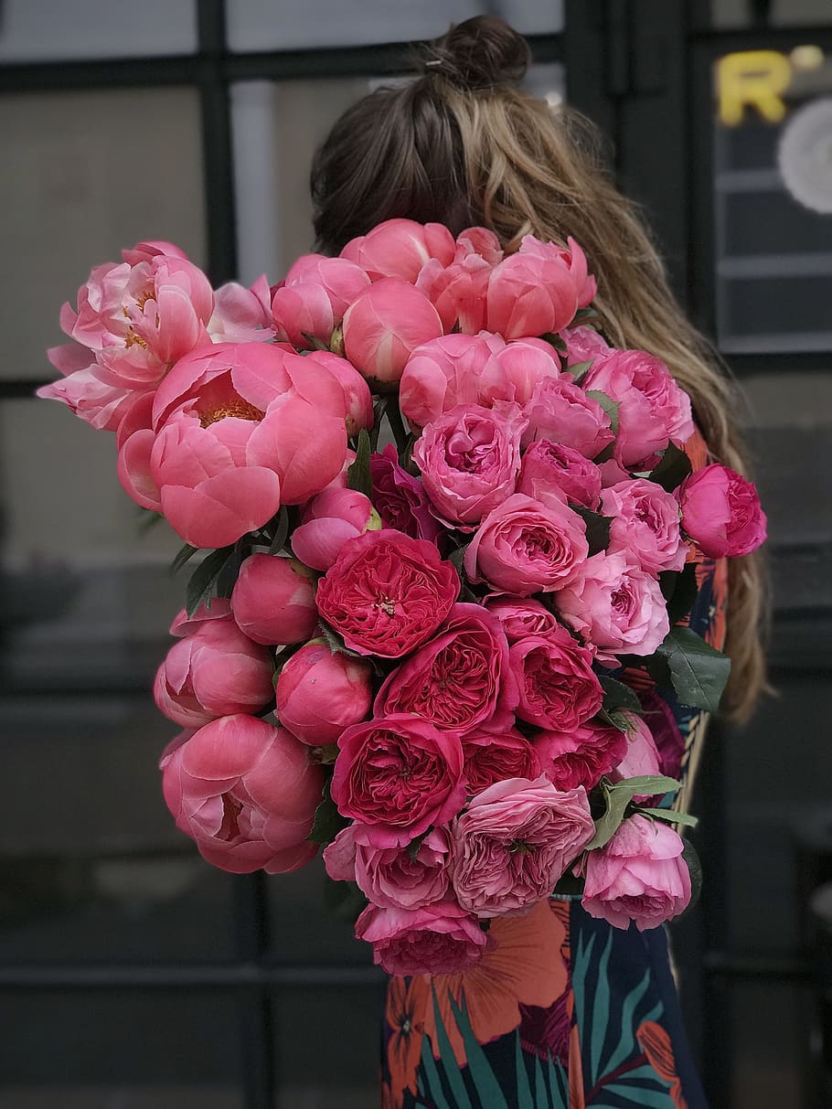woman holding pink flowers, pink color, flowering plant, vulnerability HD wallpaper