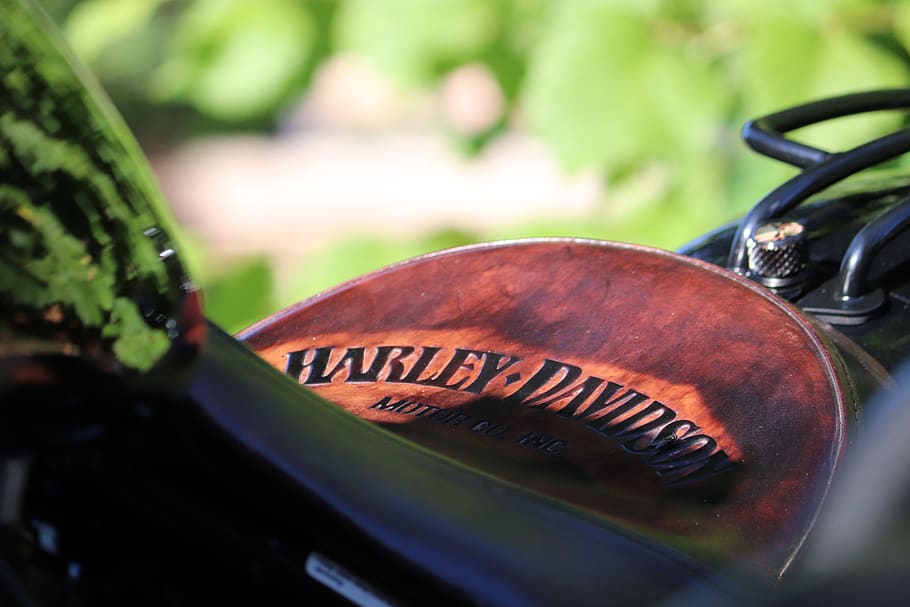 harley, davidson, motorcycles, leather, seat, text, western script HD wallpaper