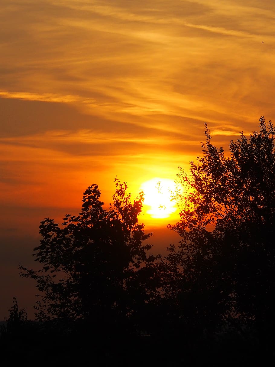 sunset, nature, sky, atmospheric, evening, plant, tree, beauty in nature HD wallpaper