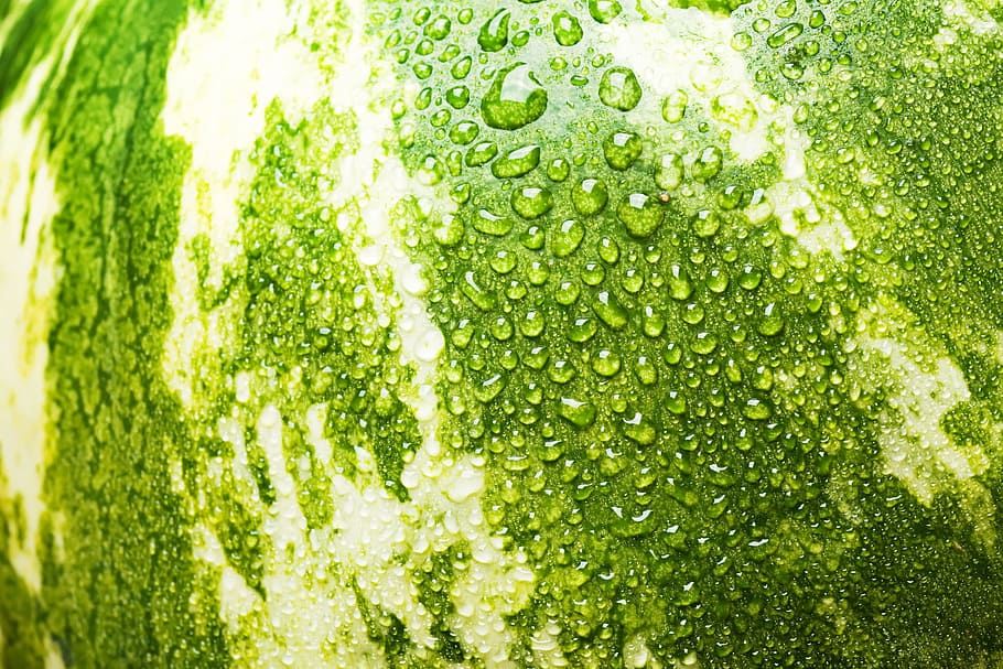 watermelon, close-up, closeup, diet, dieting, eating, food HD wallpaper